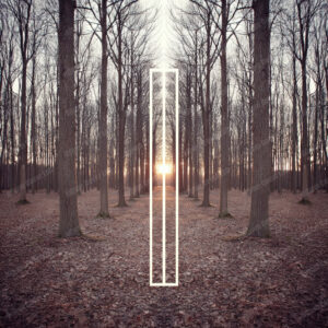 Album Cover Lab #221