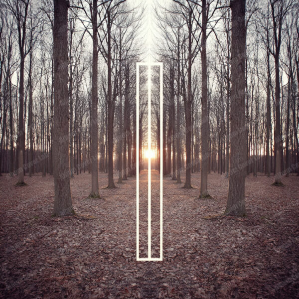 Album Cover Lab #221