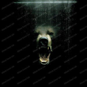 Album Cover Lab #230