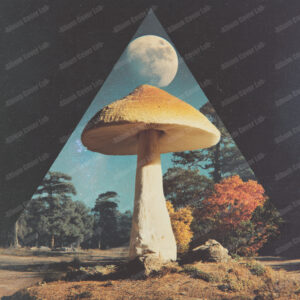 Album Cover Lab #255