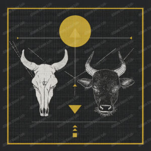 Album Cover Lab #269