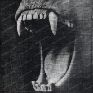 Album Cover Lab #275