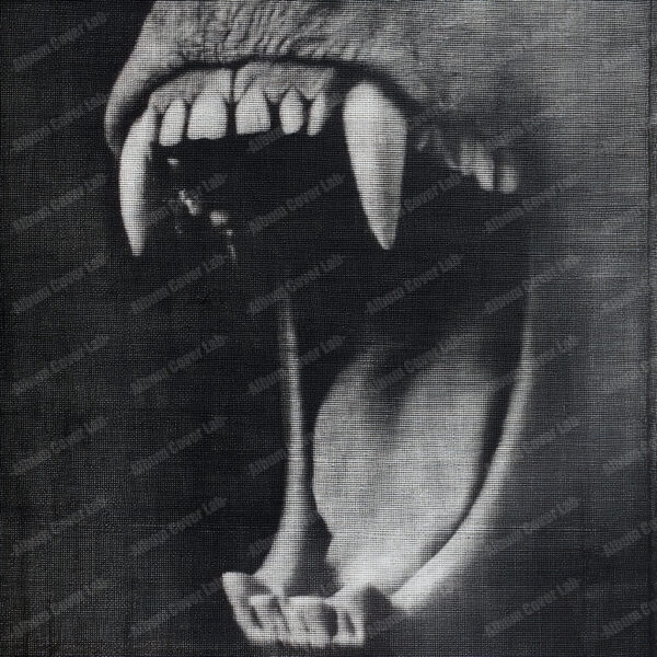 Album Cover Lab #275