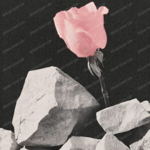 Album Cover Lab #40