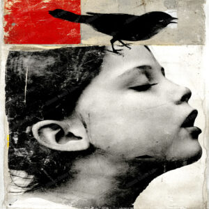 Album Cover Lab #57