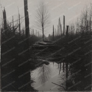 Album Cover Lab #89