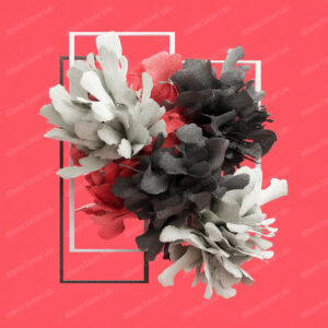 Album Cover Lab #287