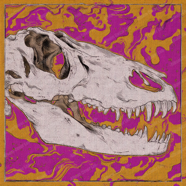 Album Cover Lab #320