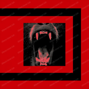 Album Cover Lab #333