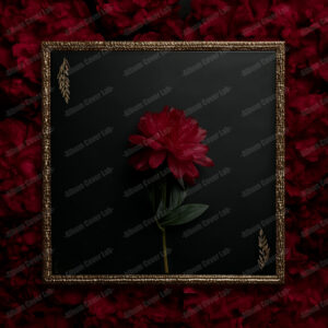 Album Cover Lab #397