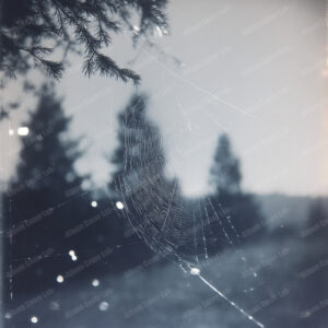 Album Cover Lab #427