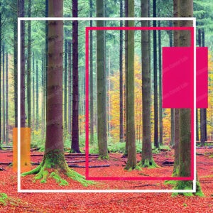 Album Cover Lab #445