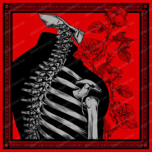 Album Cover Lab #454