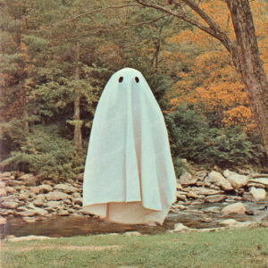 Album Cover Lab #497