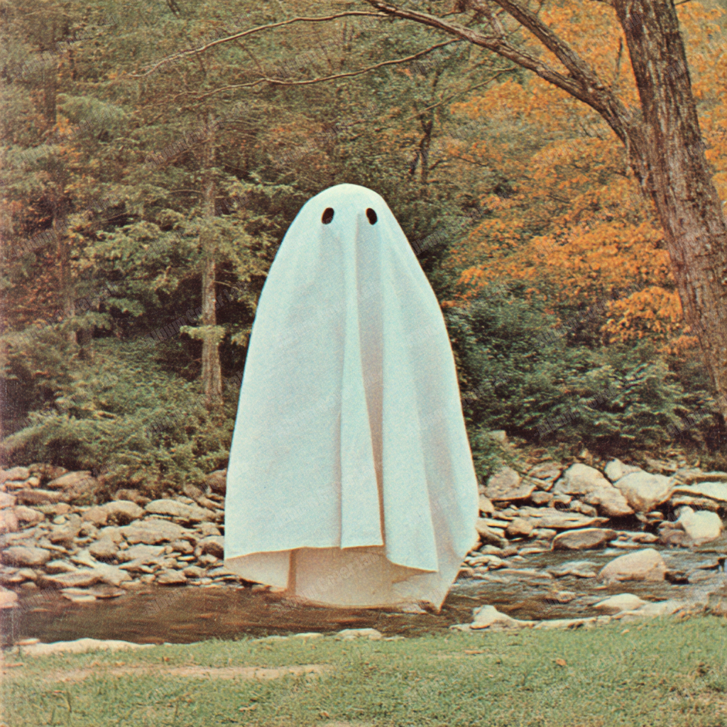 Album Cover Lab #497